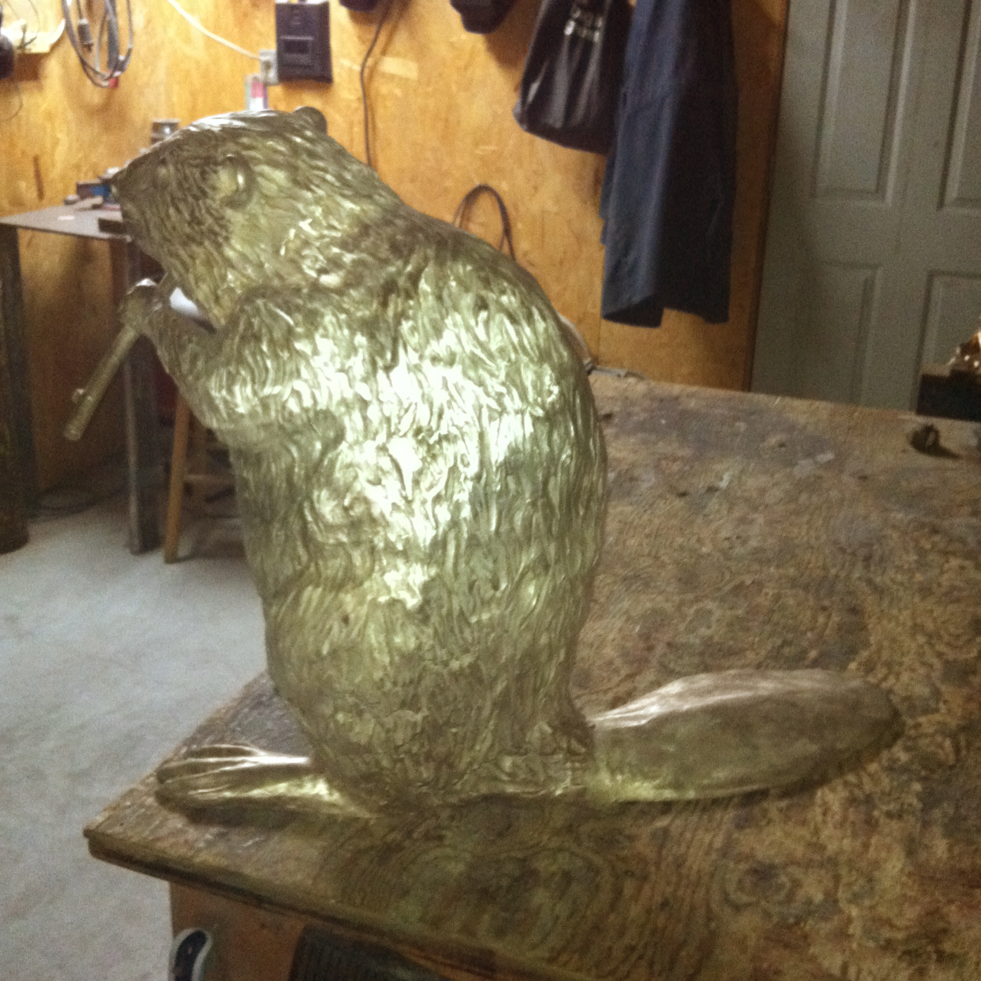 Bronze sculpture recreation of a beaver in a workshop setting