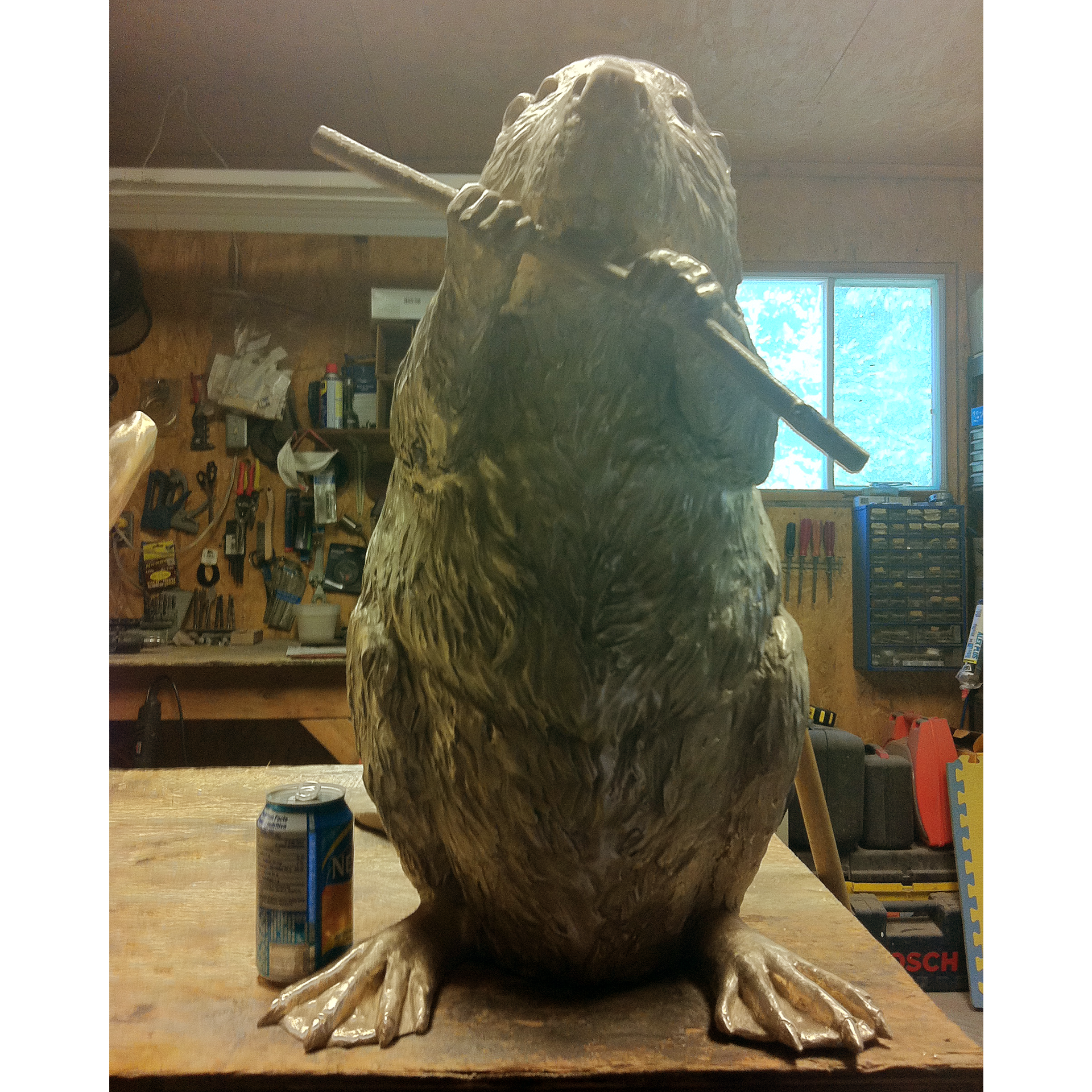 Beaver3.png__PID:bdedf9d9-41af-4b17-b17c-dd2272df2f12